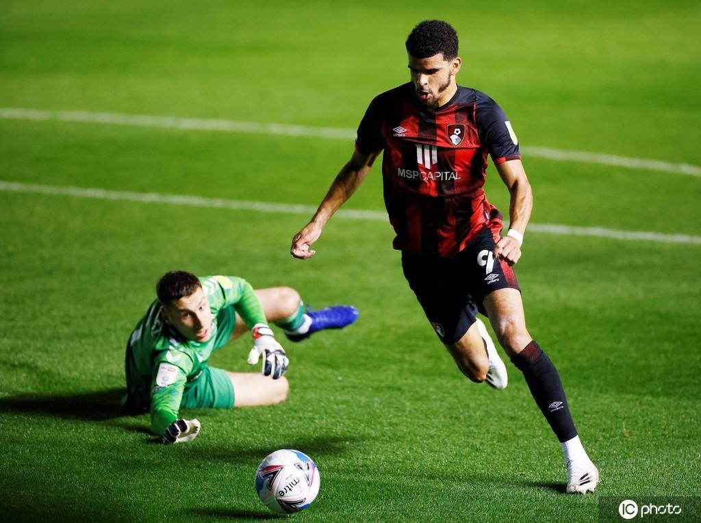 法国队完胜日本队,奥恰洛夫状态火热 法国队完胜日本队,奥恰洛夫状态火热