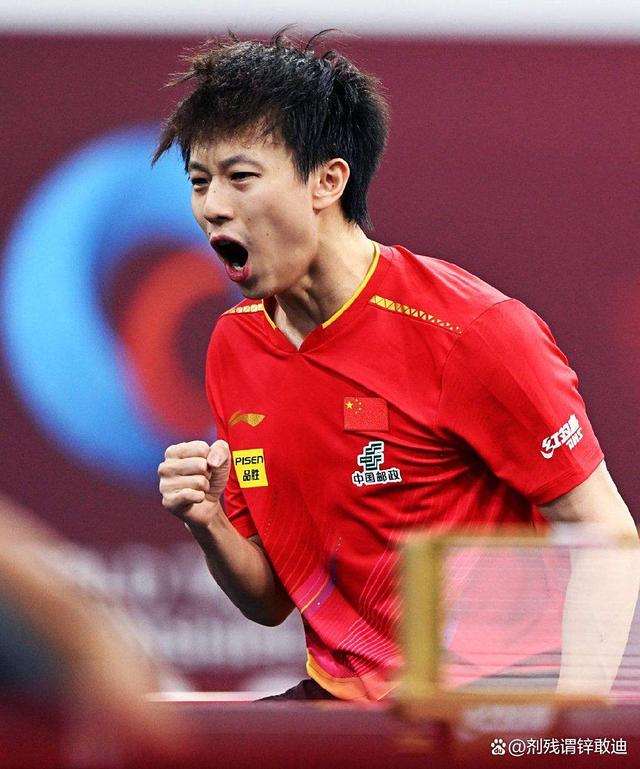 瑞典乒乓球队强势法国乒乓球队，王皓三分雨点燃全场