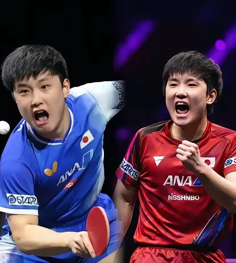 奥地利队碾压瑞典队,张本智和惊艳四座 奥地利队碾压瑞典队,张本智和惊艳四座