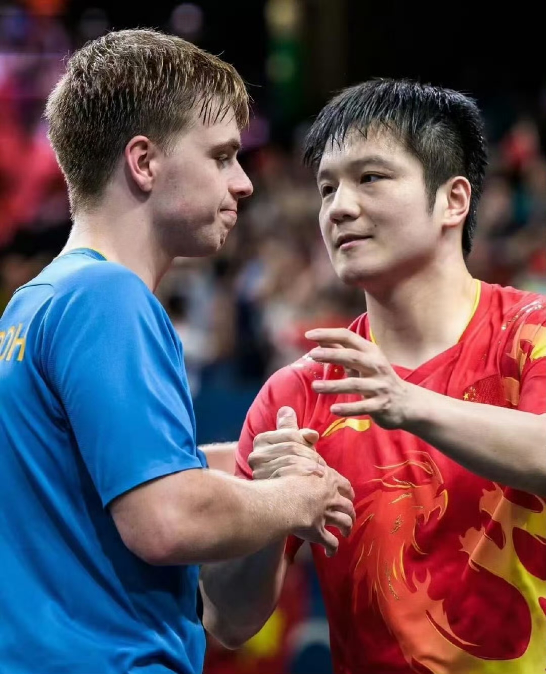 德国乒乓球队翻盘比利时乒乓球队，波尔送出助攻