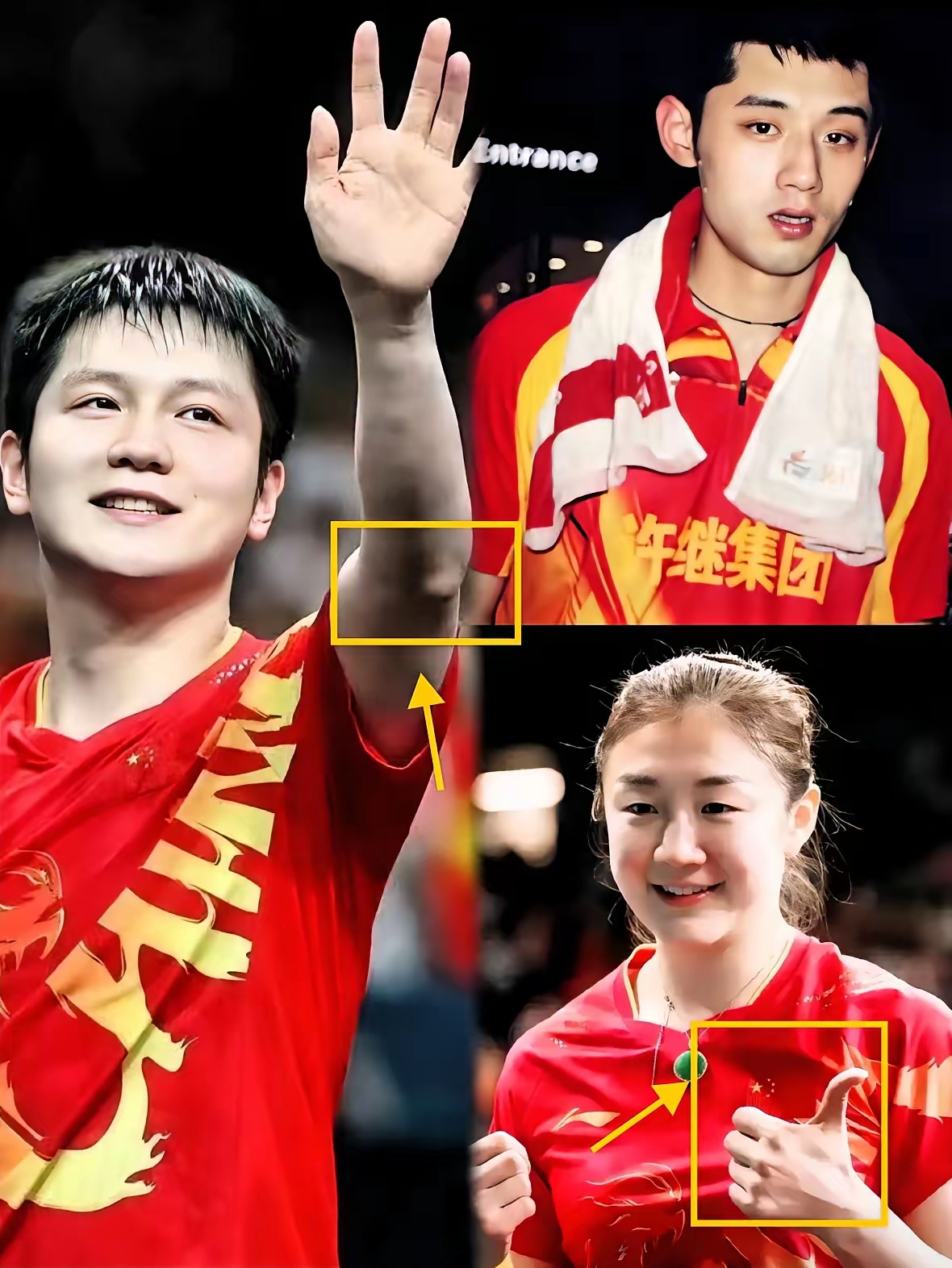 日本队力克波兰队,张继科惊艳四座 日本队力克波兰队,张继科惊艳四座