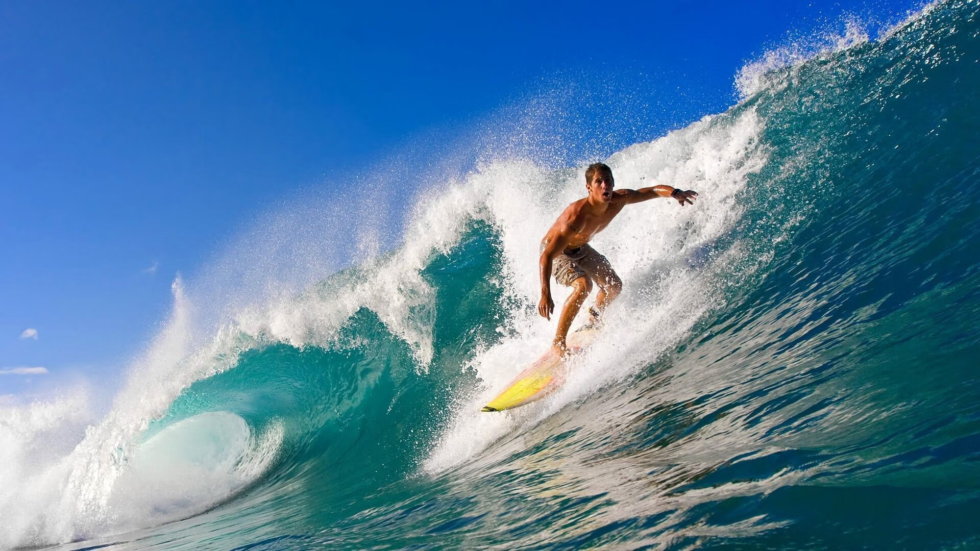 舞台越大，武切维奇越强，从太阳淘汰灰熊看巨星的诞生